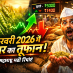 महाराष्ट्र तुअर मंडी भाव विश्लेषण (फरवरी 2026)